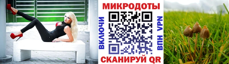 как найти   мега зеркало  Галлюциногенные грибы Psilocybine cubensis  Агрыз 